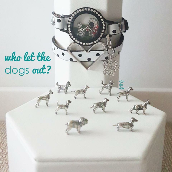 NEW Origami Owl Sterling Silver BULLDOG Charm - Picture 3 of 4